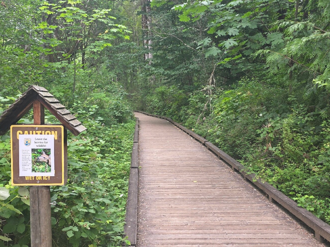 尼斯阔利国家野生动物保护区-奥林匹亚必去景点