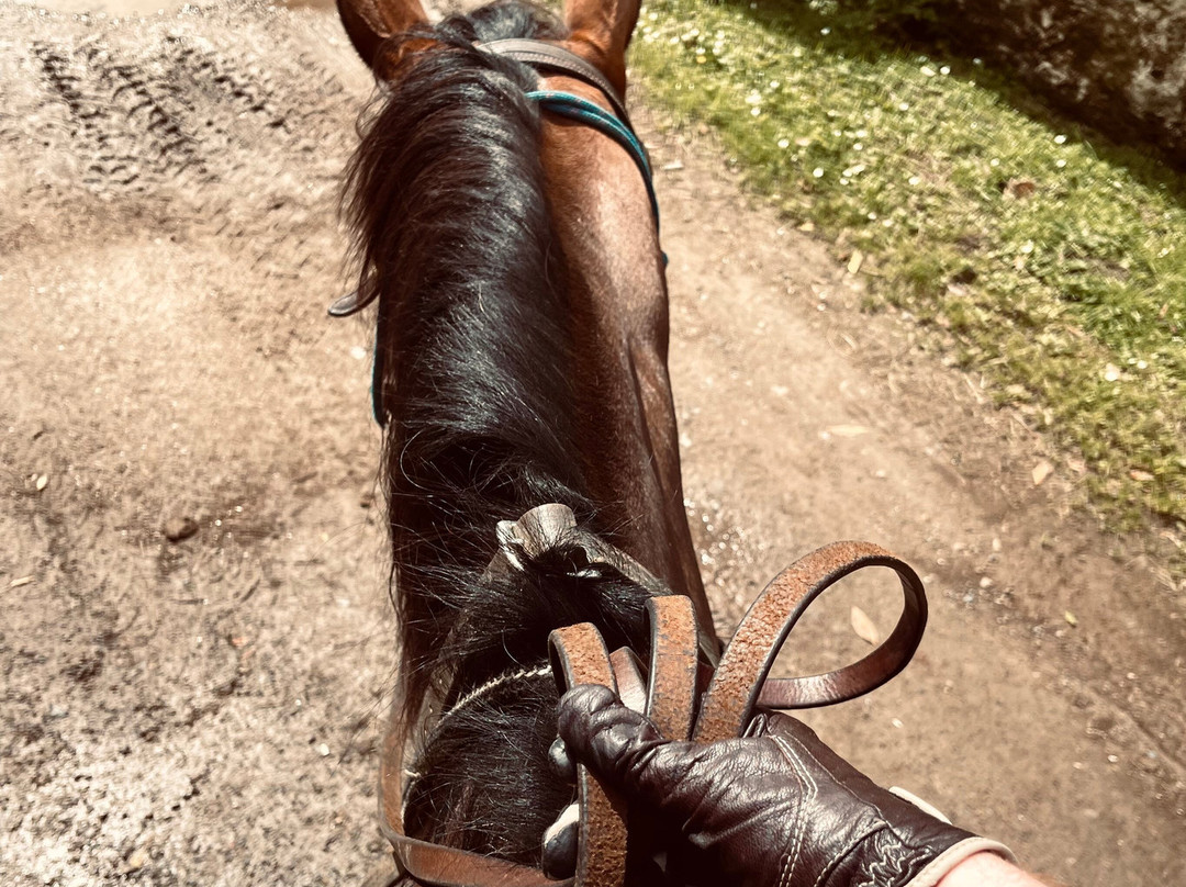 Lunga Riding Stables-Lochgilphead必去景点