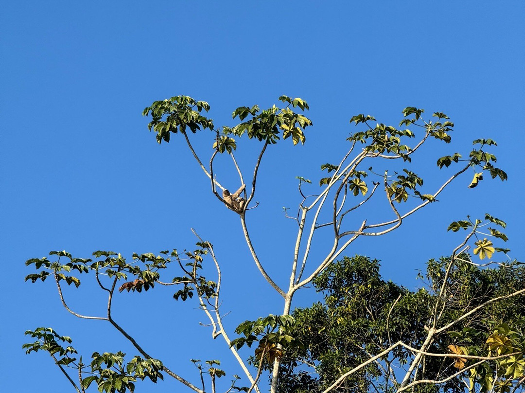Tambopata Wild Life Perú-San Sebastian必去景点