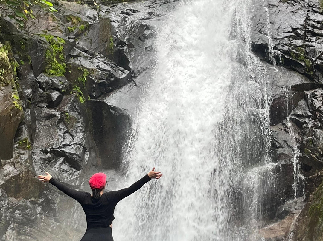 Bijagua Rainforest - Tours-Bijagua de Upala必去景点