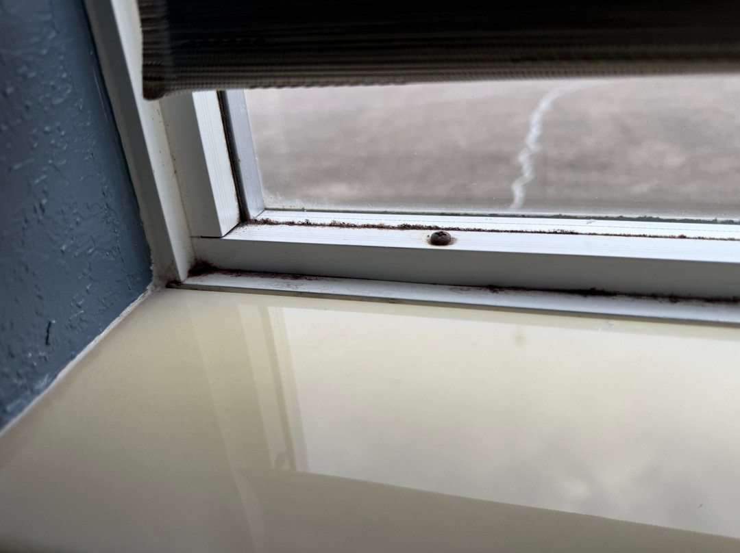 Savannah House Hotel主图