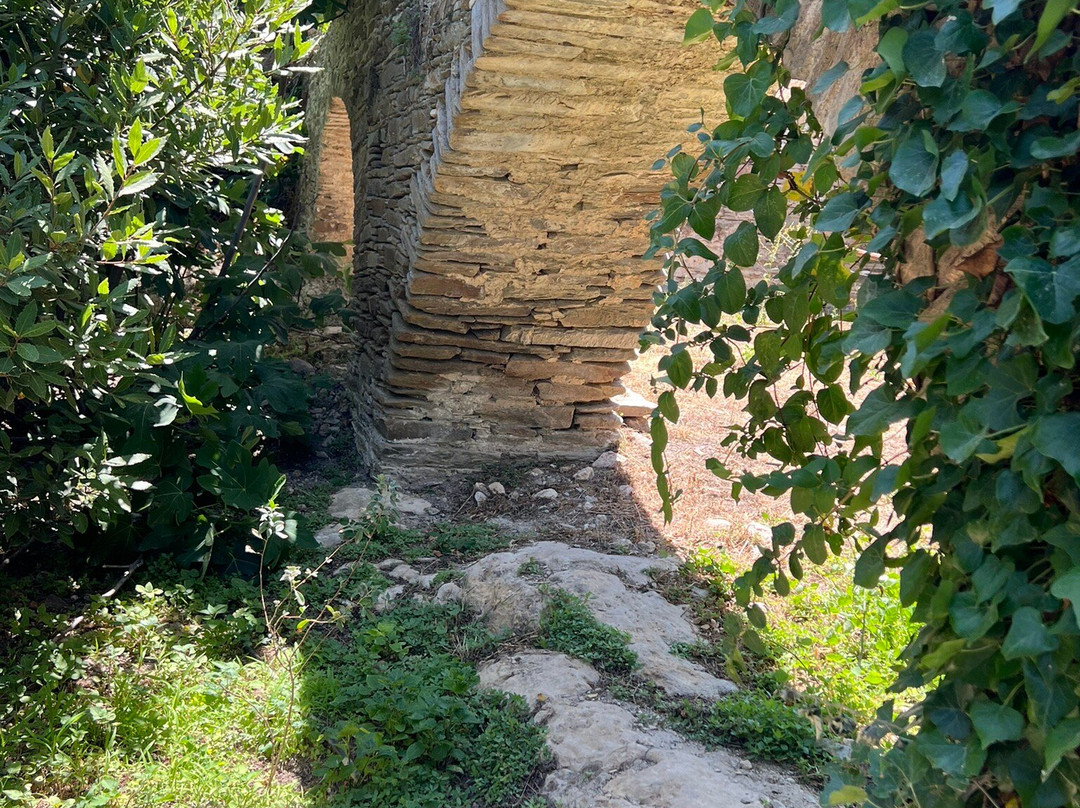 Butterflies Nature Reserve-帕罗斯岛必去景点