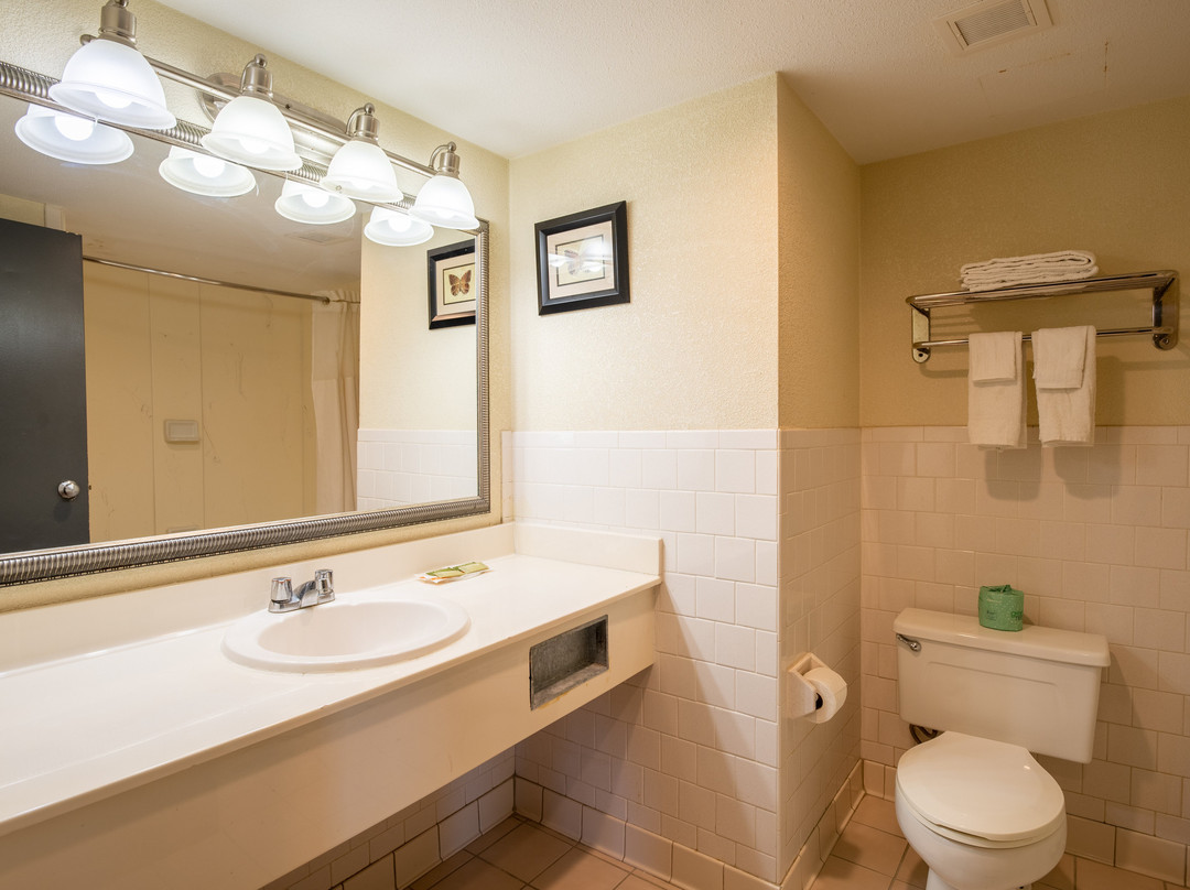 Dominion Inn and Suites