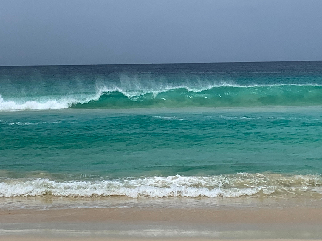 Boavista Tour Fame-萨尔雷必去景点