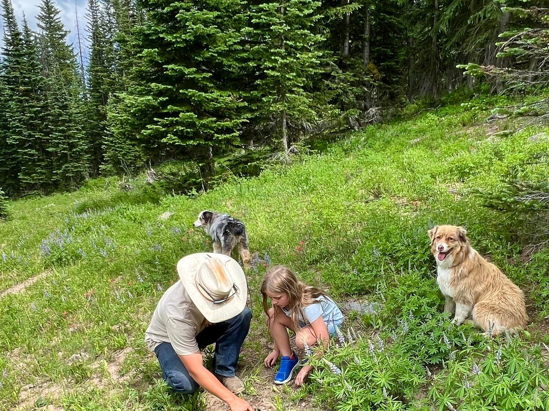 Del's Triangle 3 Ranch-Clark必去景点