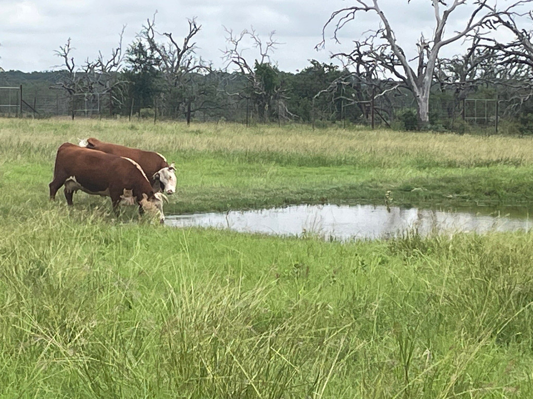 Lyndon B. Johnson National Historical Park-Johnson City必去景点
