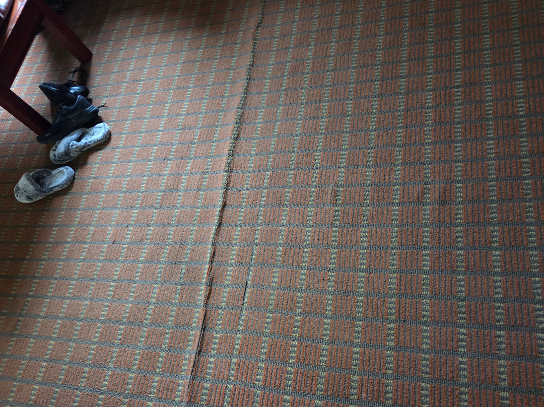 Holiday Inn Express & Suites Laurinburg by IHG主图