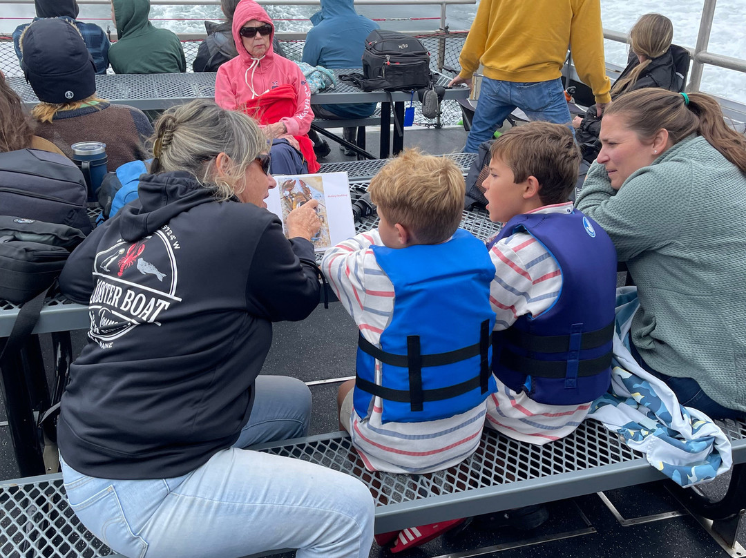 Catch Your Dinner Lobster Tours-Corea必去景点