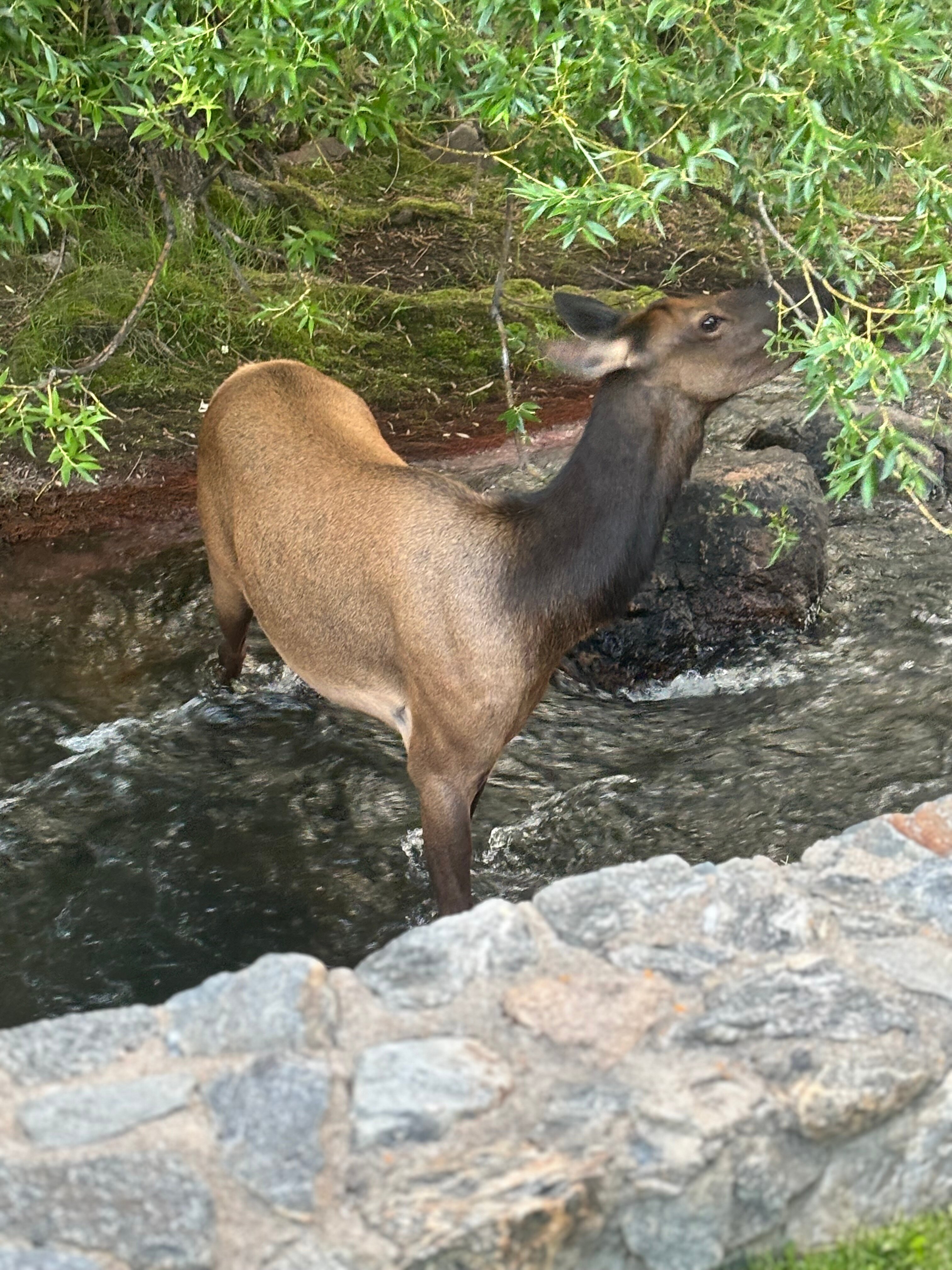 Highland Haven Creekside Inn-浴室