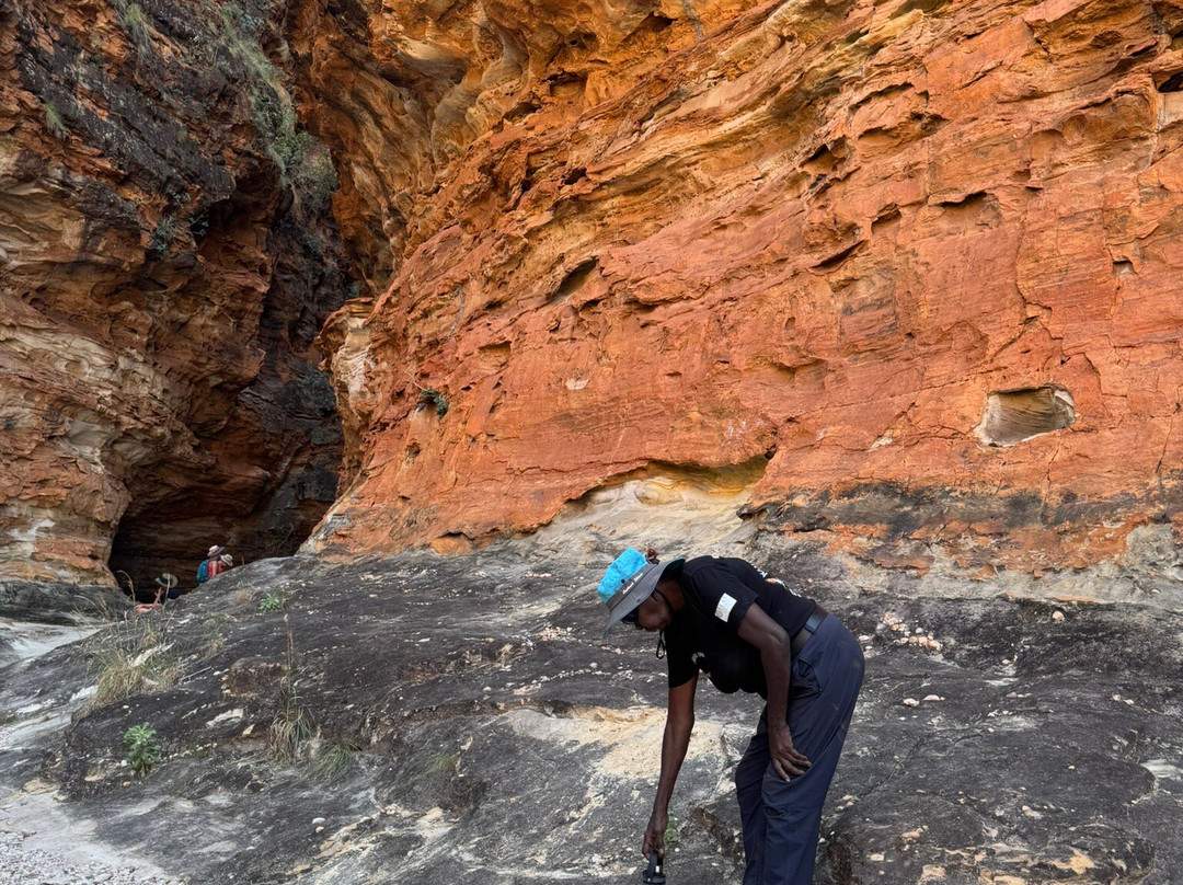 Kingfisher Tours-库努纳拉必去景点