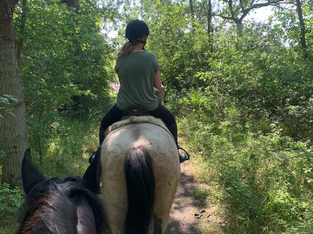 Amagervoksenridetur