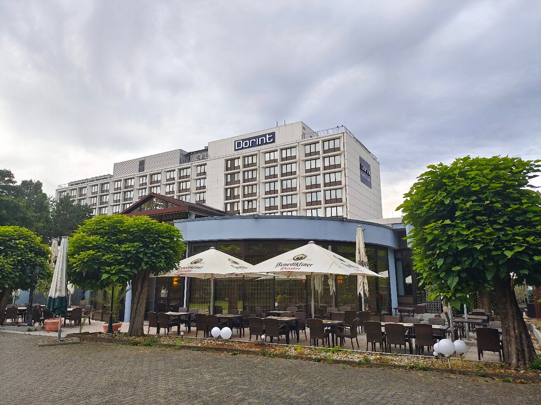 杜瑞特酒店陶努斯市中心总店主图