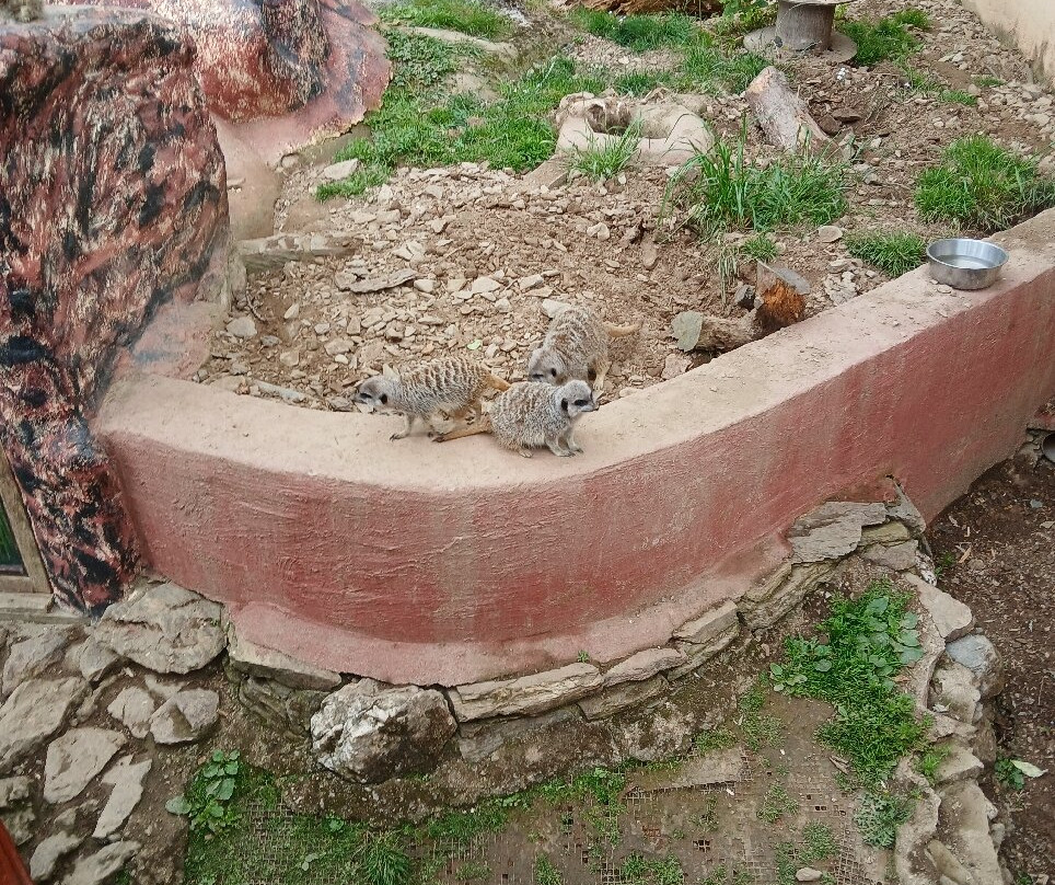 Porfell Wildlife Park & Sanctuary-利斯卡德必去景点