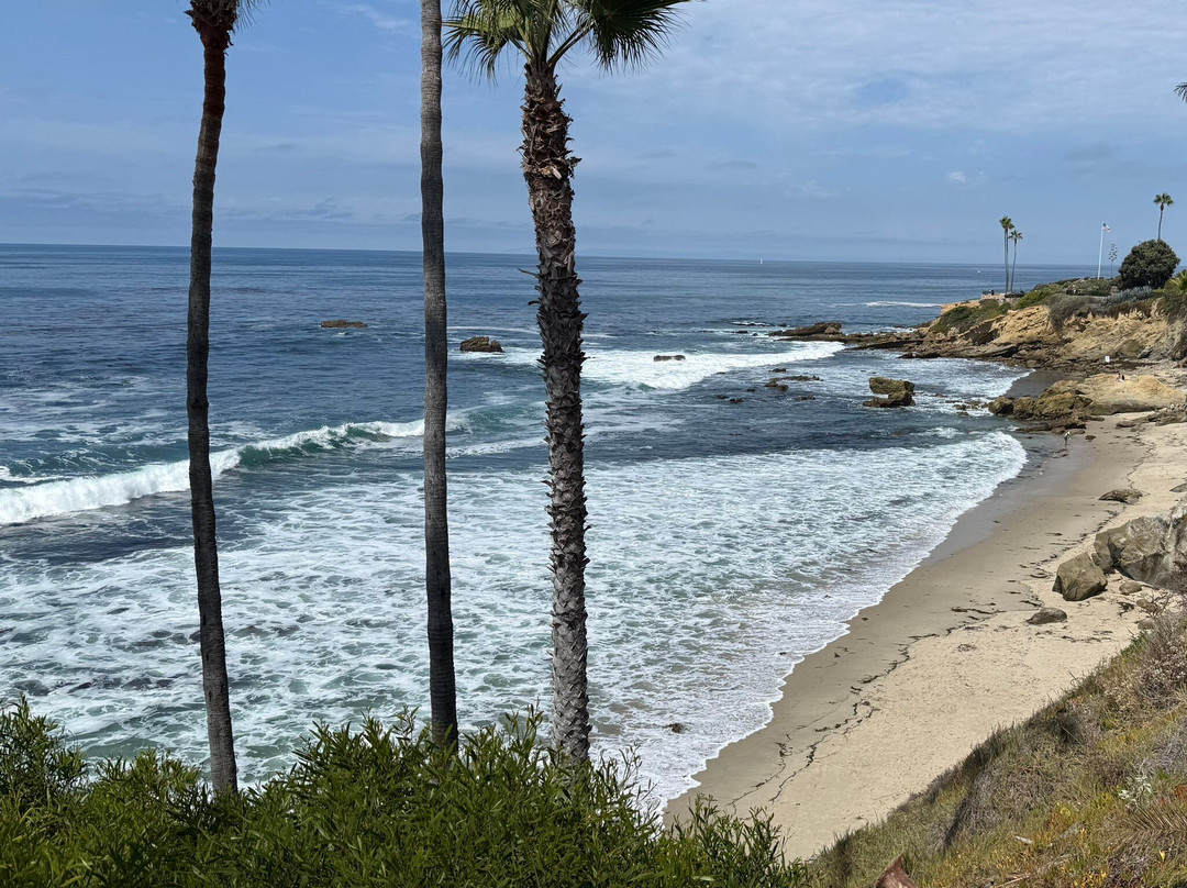 海斯勒公园-拉古纳海滩必去景点