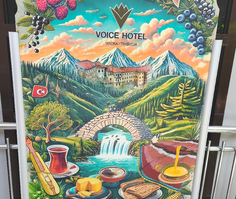 Voice Hotel主图