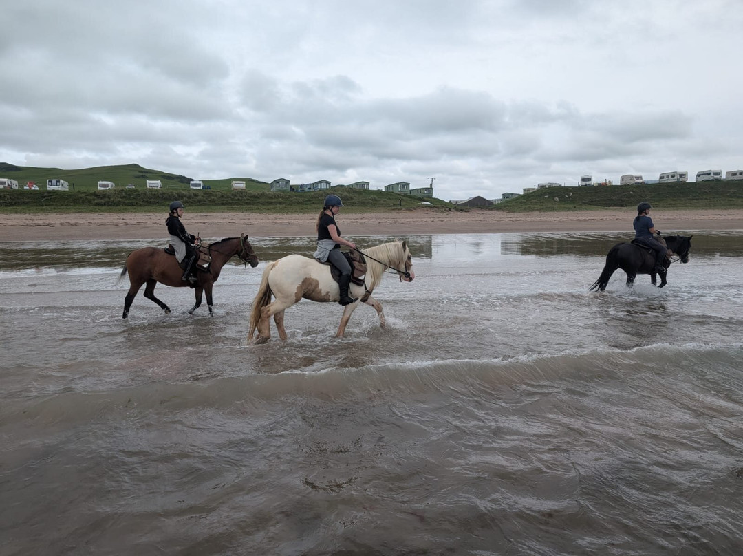 Wilder Ways-Campbeltown必去景点