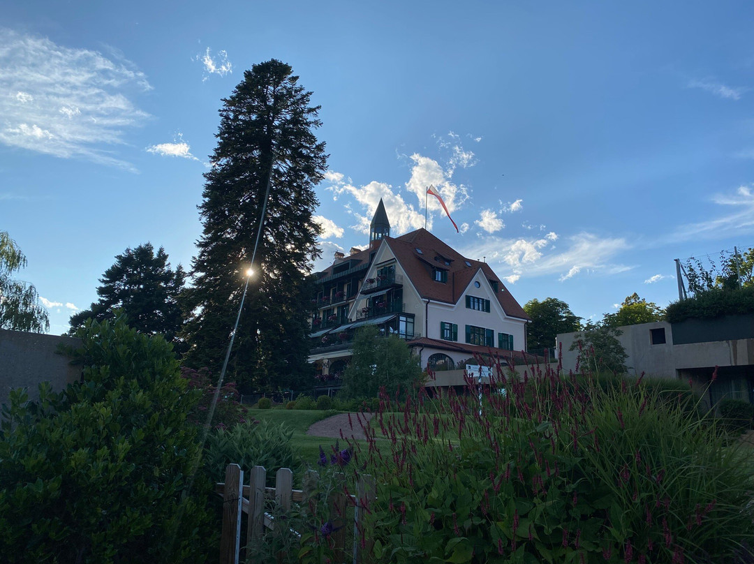 欧尔兹尼尔公园酒店主图