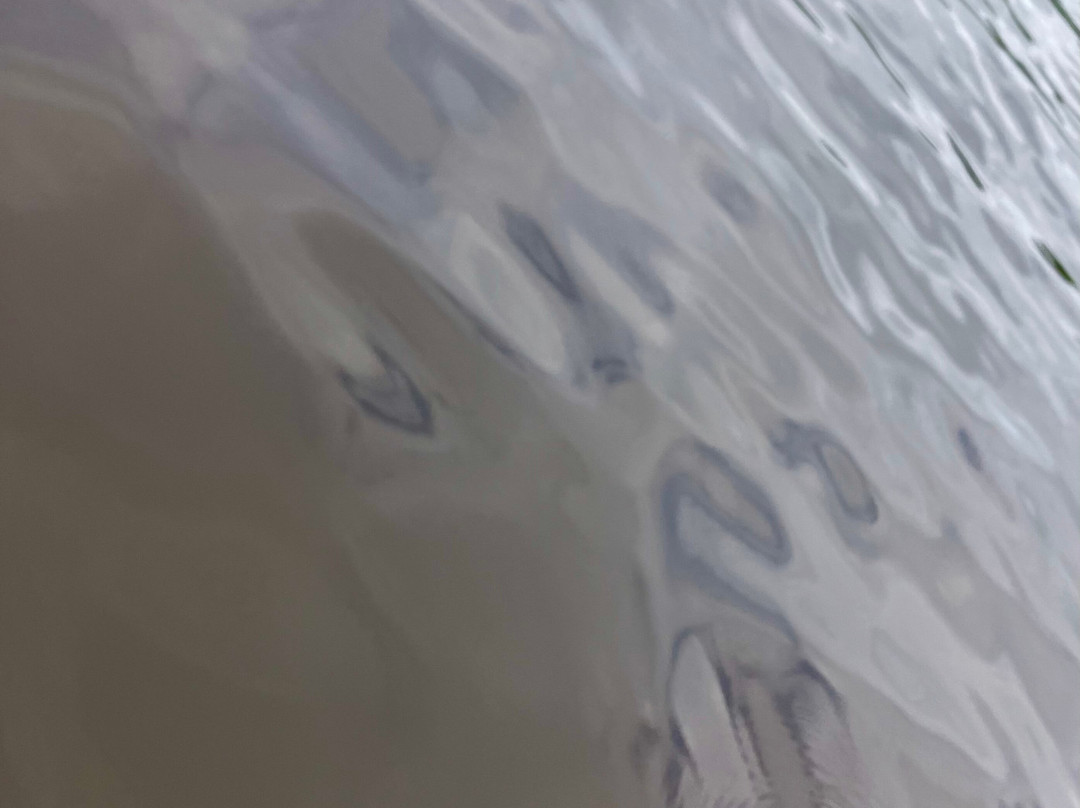 Riverwood Canoe & Kayak Rental-Osceola必去景点