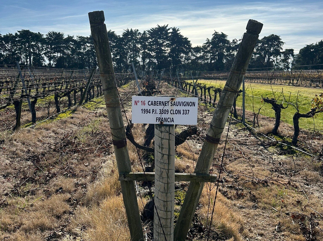 Bodega Garaje Casa Grande-Canelones必去景点