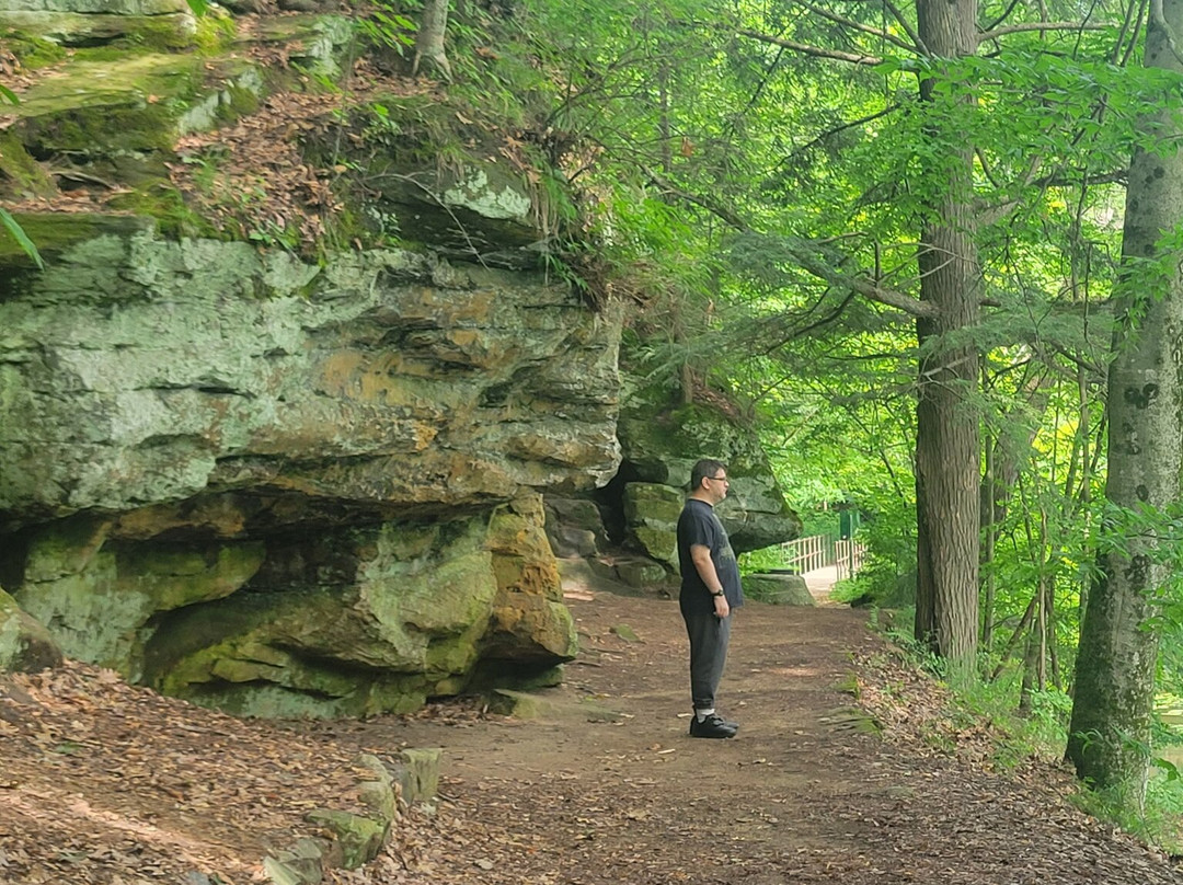 Fitzgerald Park-Grand Ledge必去景点