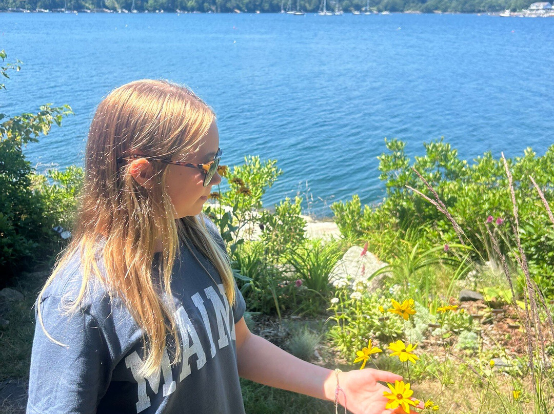 Cabbage Island-布斯贝港必去景点