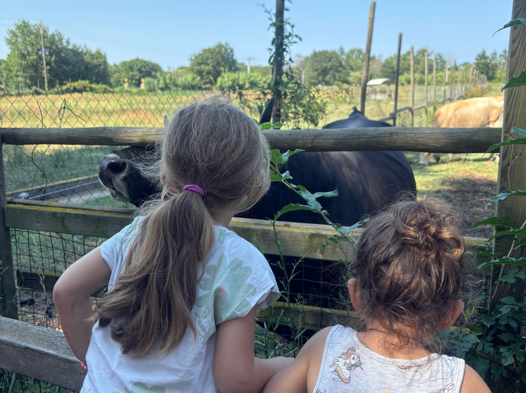 Ferme de Decouverte Saint-Andre-Saint-Andre必去景点