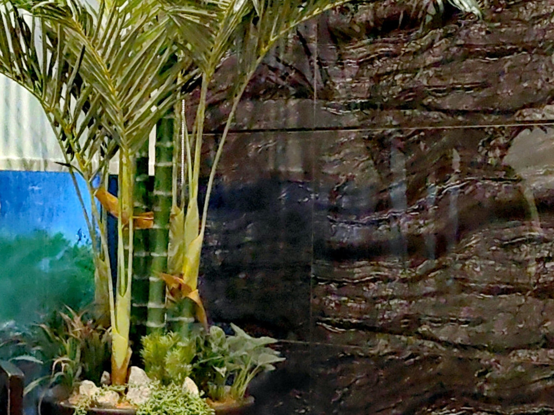 Best Western Plus Metro Clark主图