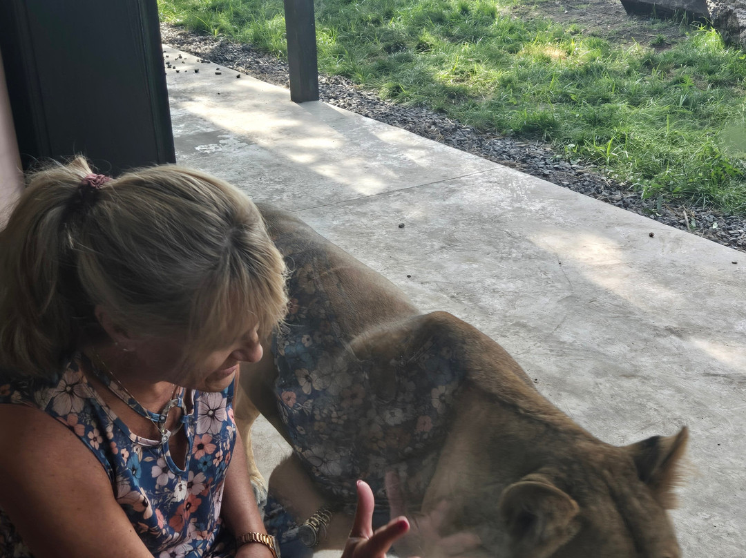 The Wild Animal Park-Chittenango必去景点