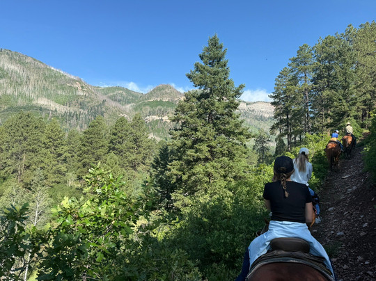 Bears Ranch-杜兰戈必去景点