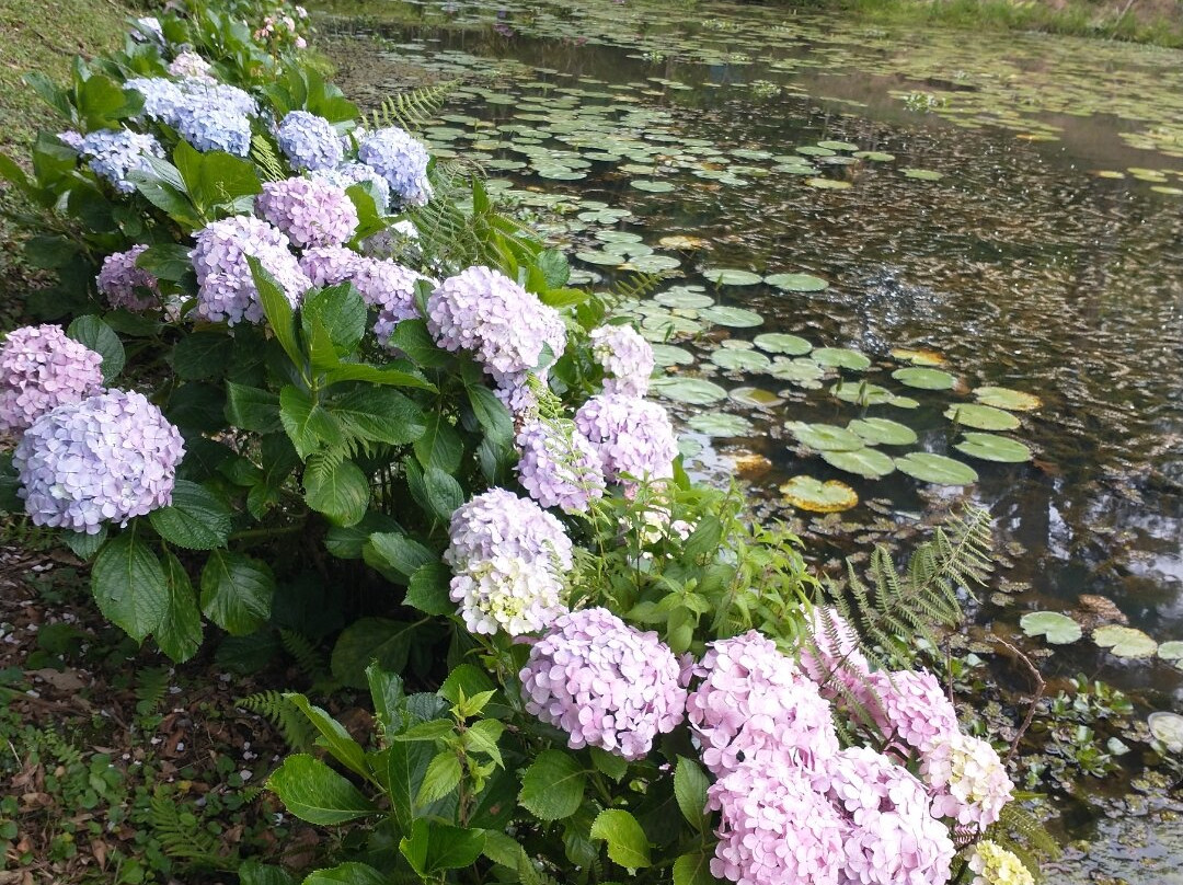 Meliponário Doce Paraíso-Colombo必去景点