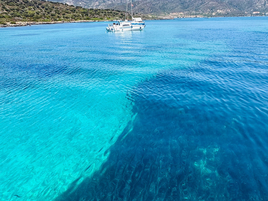 Asinara Sailing - Day Tour-斯廷蒂诺必去景点