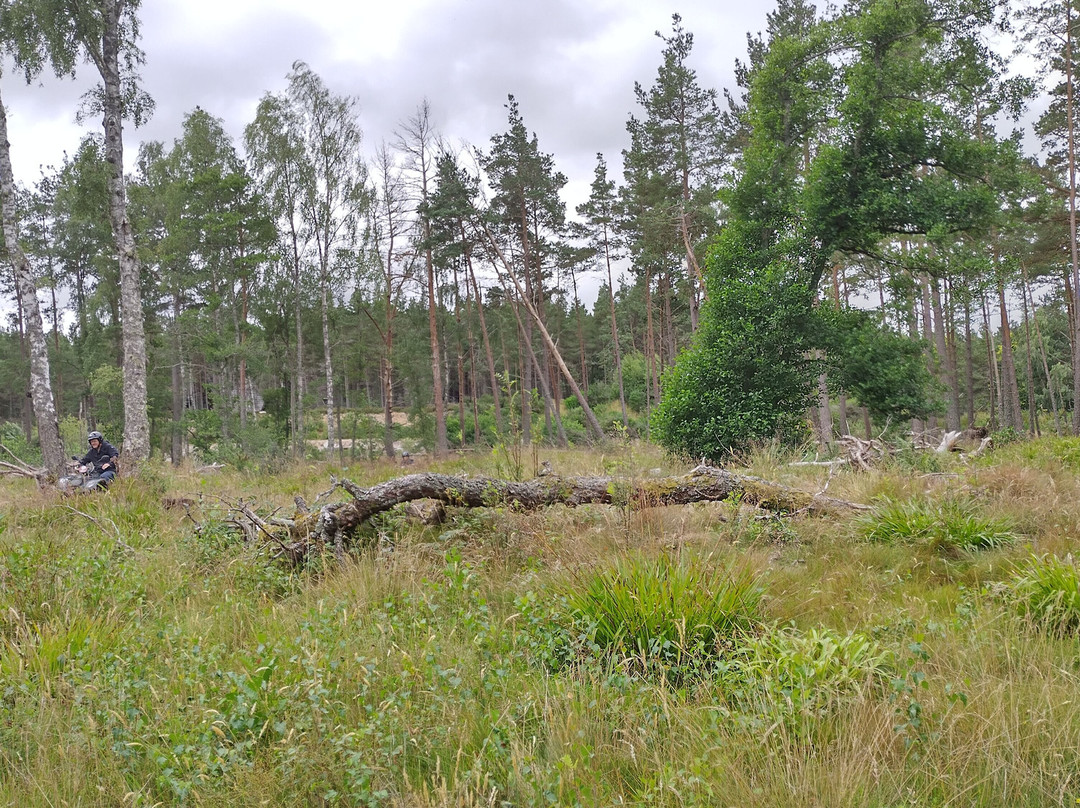 Quad Bike Treks-阿维莫尔必去景点