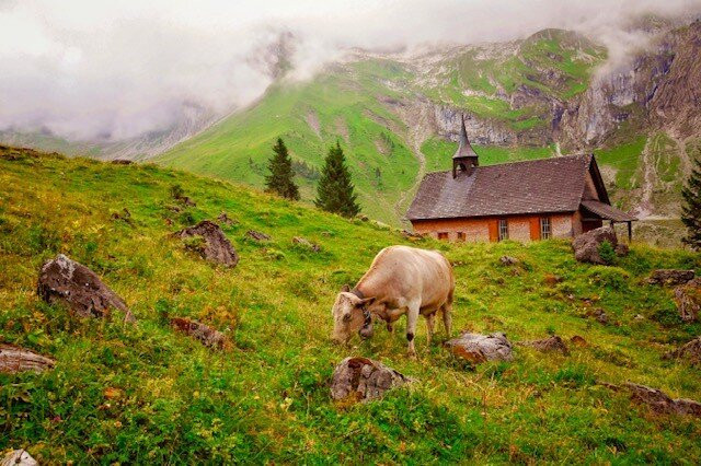 Chantal & Max Travel Design Switzerland-日内瓦必去景点