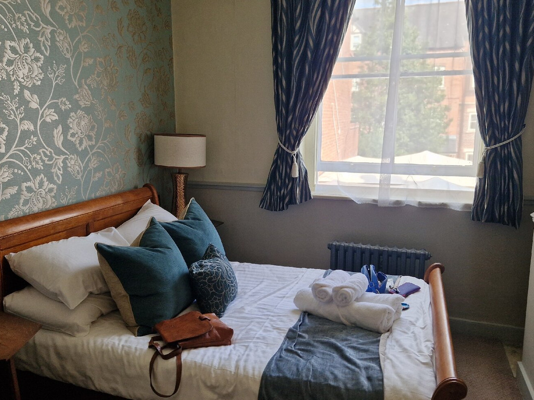 The Cardinals Hat主图