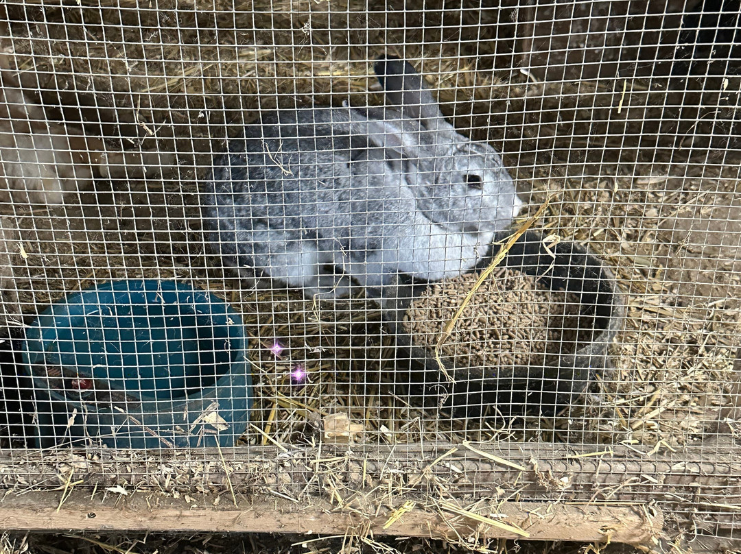 Proulx Sugar Bush & Berry Farm-Cumberland必去景点