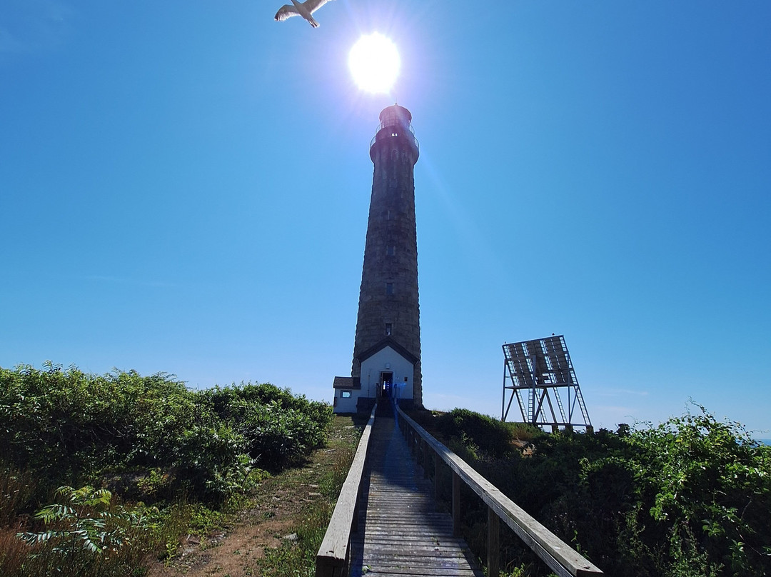 Thacher's Island-罗克波特必去景点