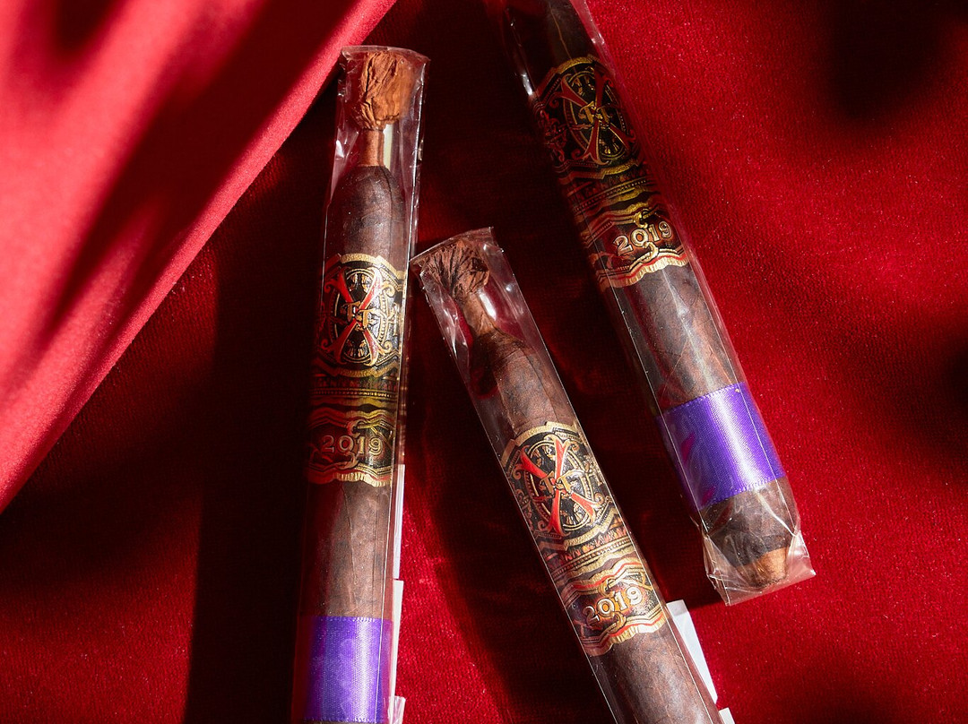 Cigar Club Professor Freud-圣彼得堡必去景点