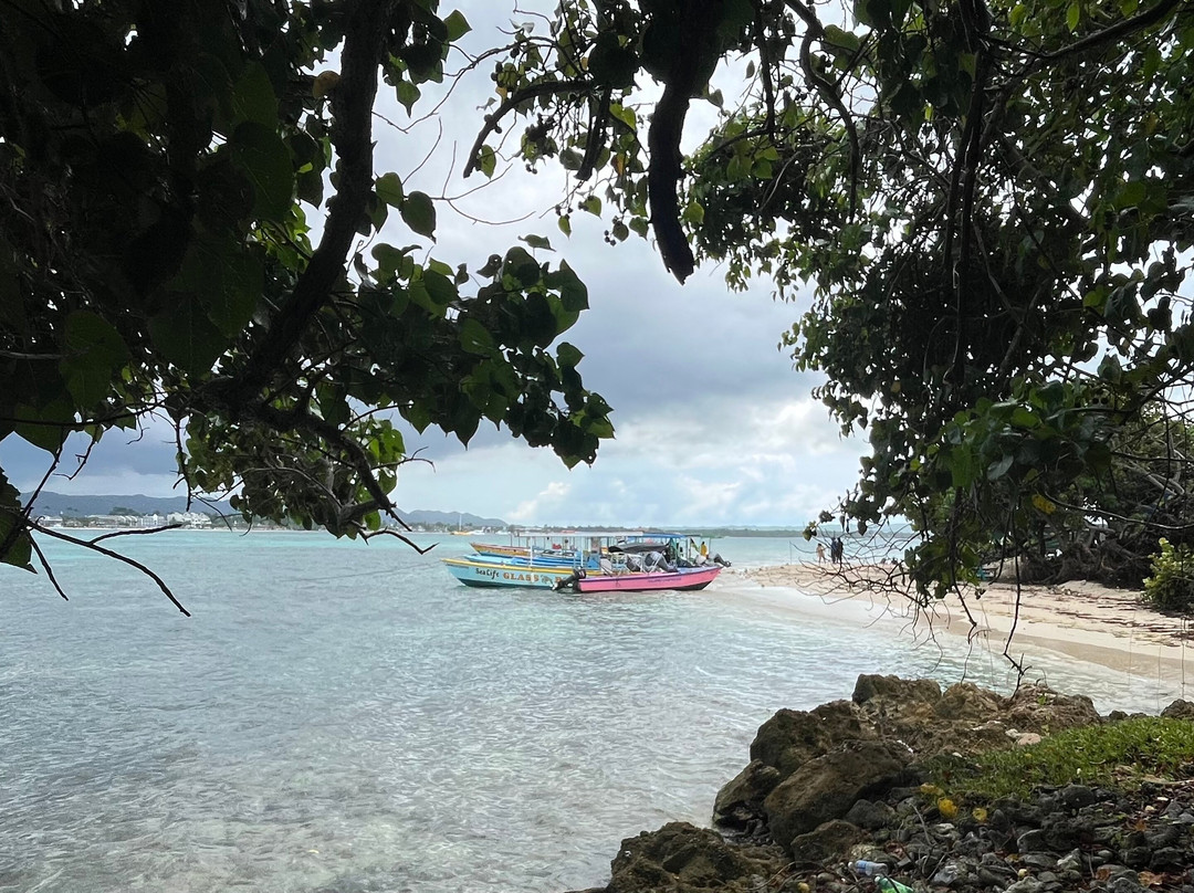 YaMon Red Stripe Catamaran Cruises-内格里尔必去景点