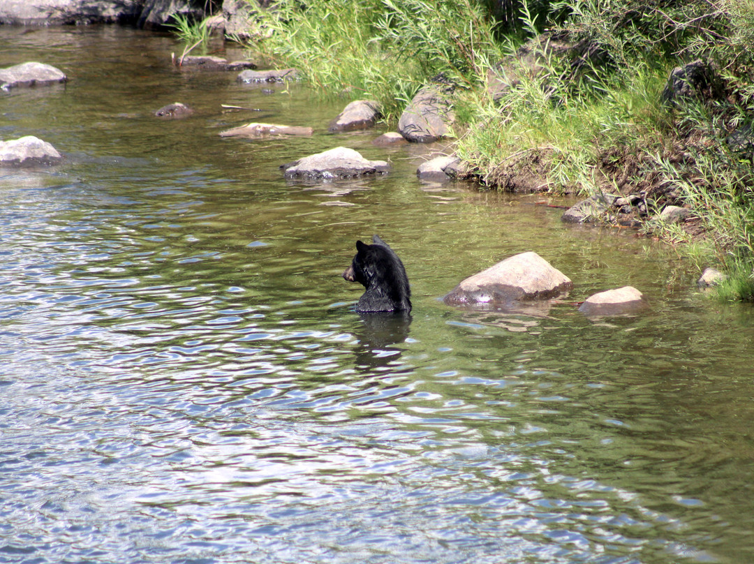 Lakota River Guides-Avon必去景点