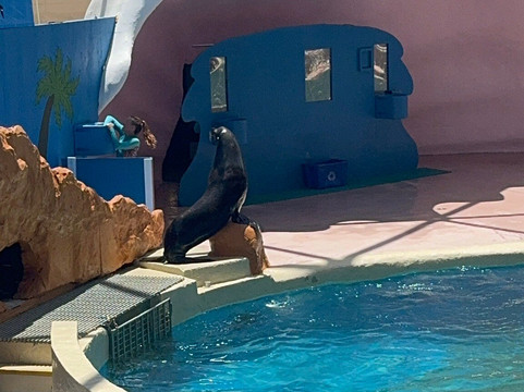 迈阿密水族馆-迈阿密必去景点