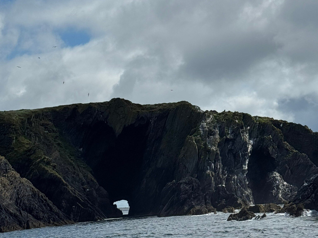 Baltimore Sea Safari-Baltimore必去景点