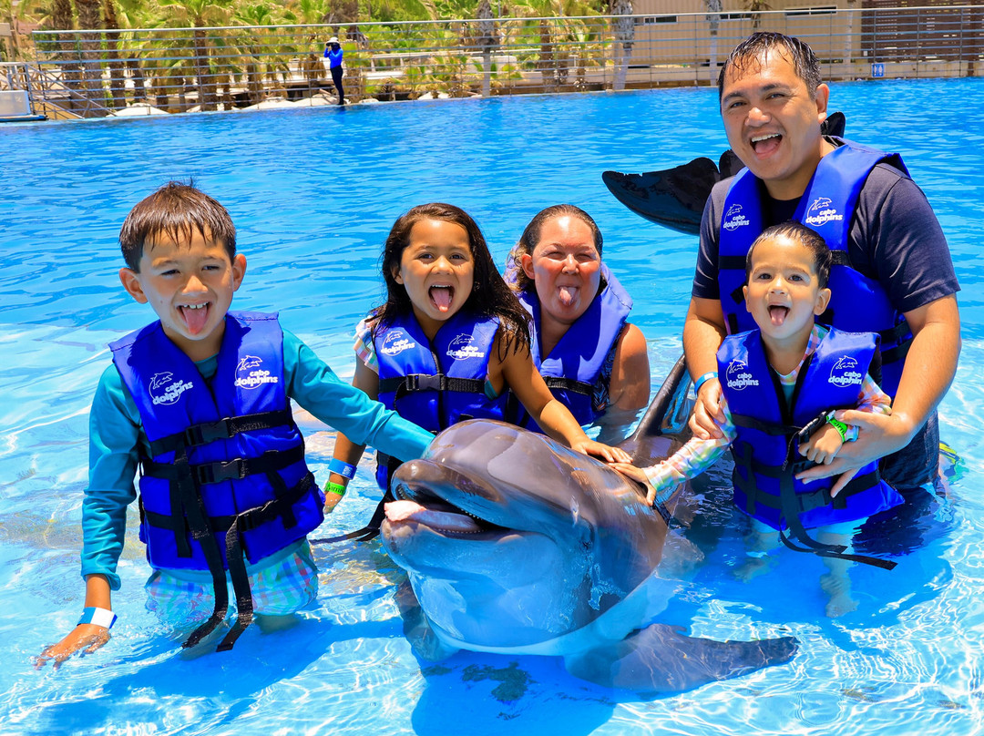 Dolphin Discovery Los Cabos-圣何塞卡波必去景点