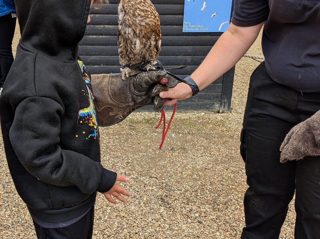 Herring Green Activity Farm-贝德福德必去景点