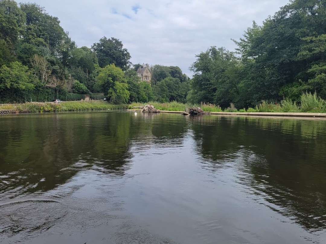 Ruswarp Pleasure Boats-Ruswarp必去景点