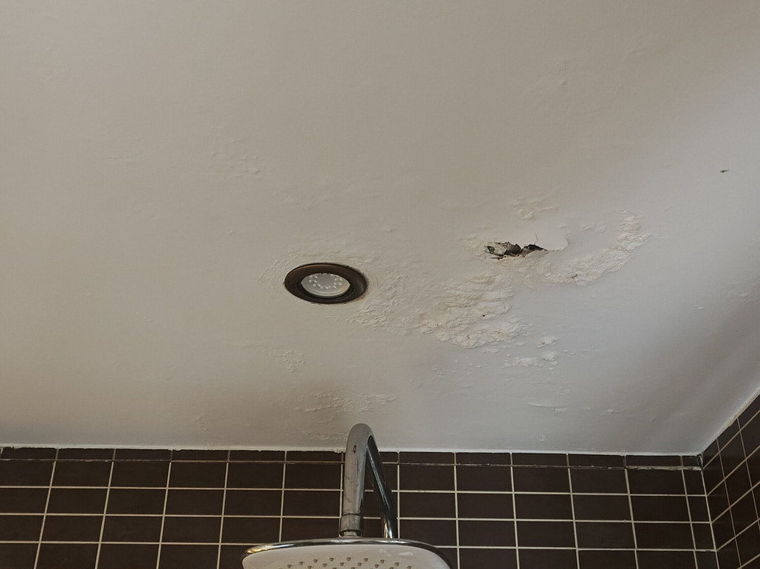 Hotel La Brasa主图