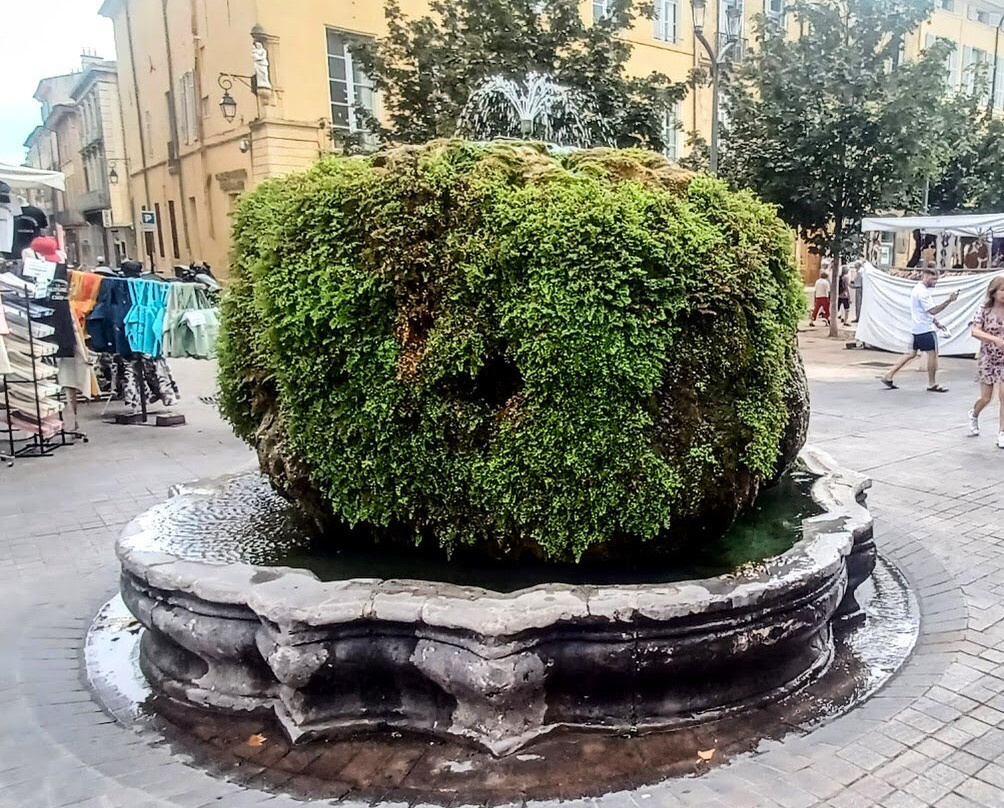 长满青苔的喷泉-普罗旺斯必去景点