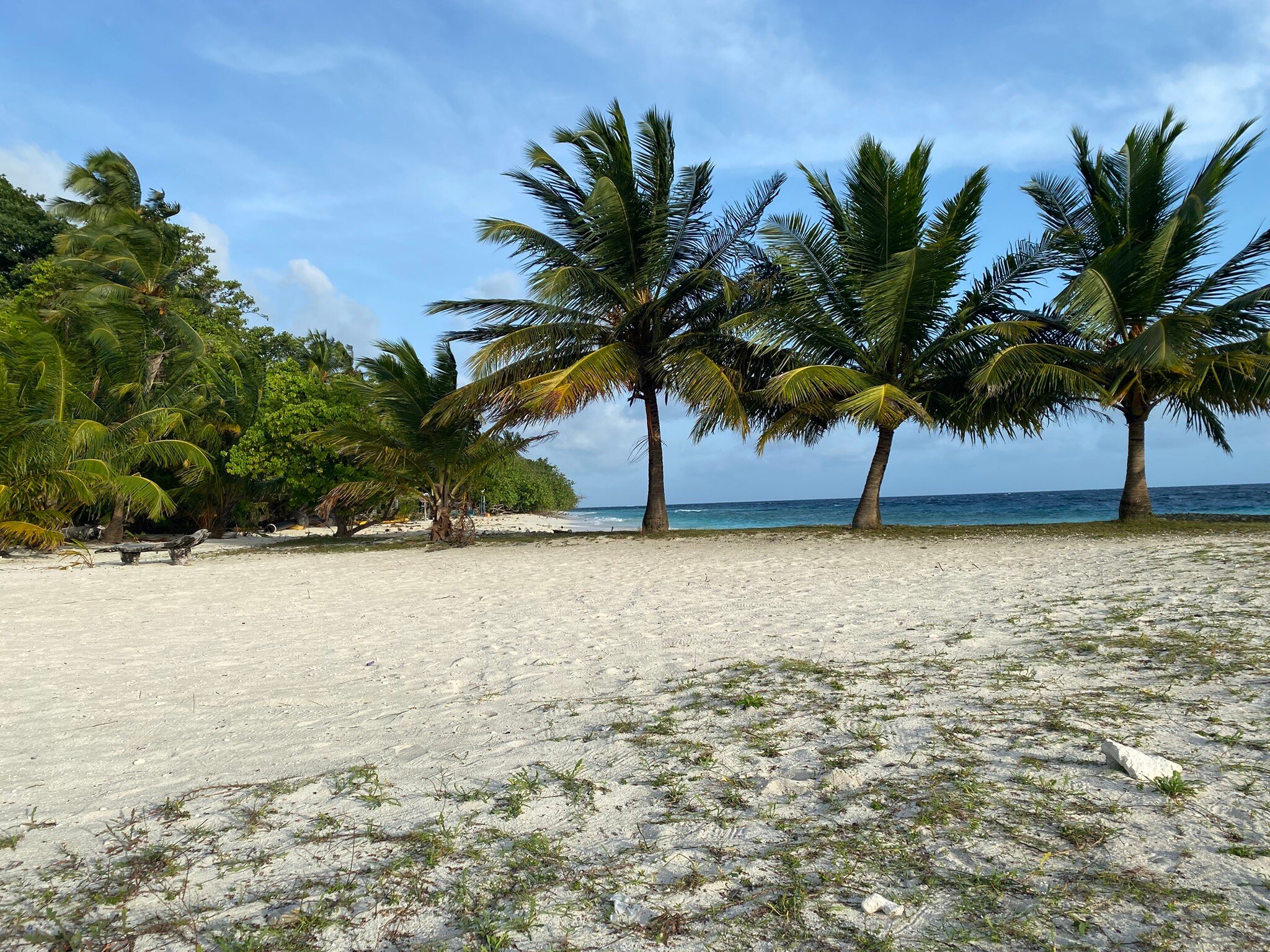 Local Island Inn-官方