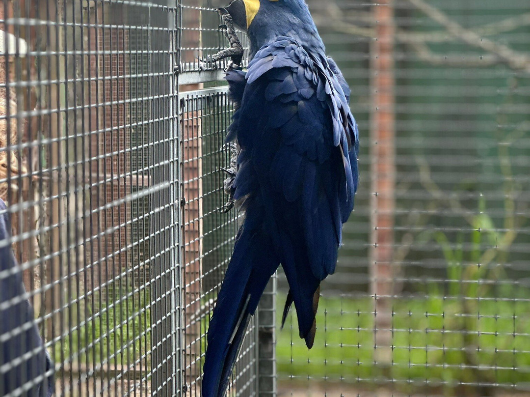 Pangea Park-Bjaeverskov必去景点