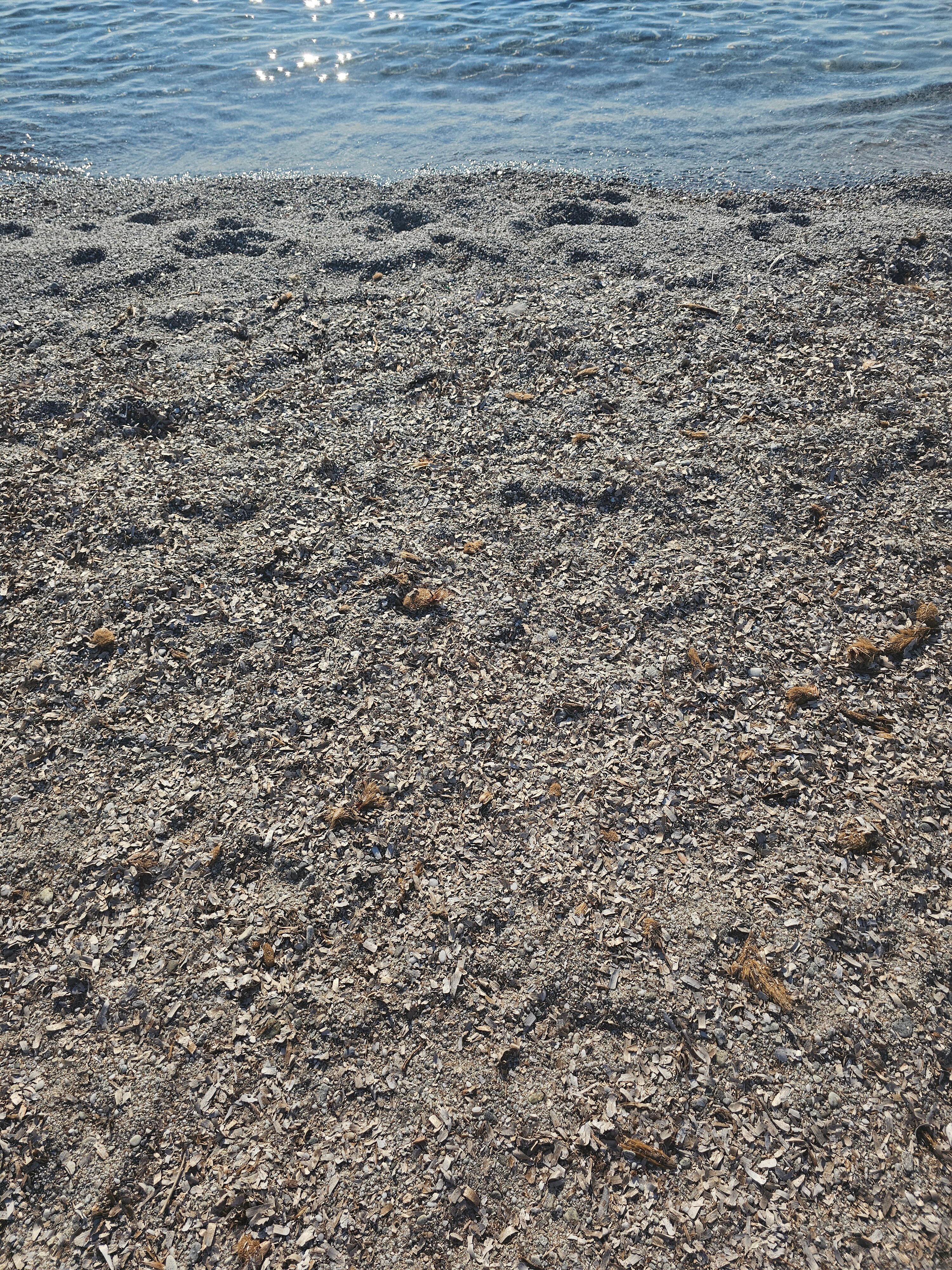 Tui Blue Budoni-泳池