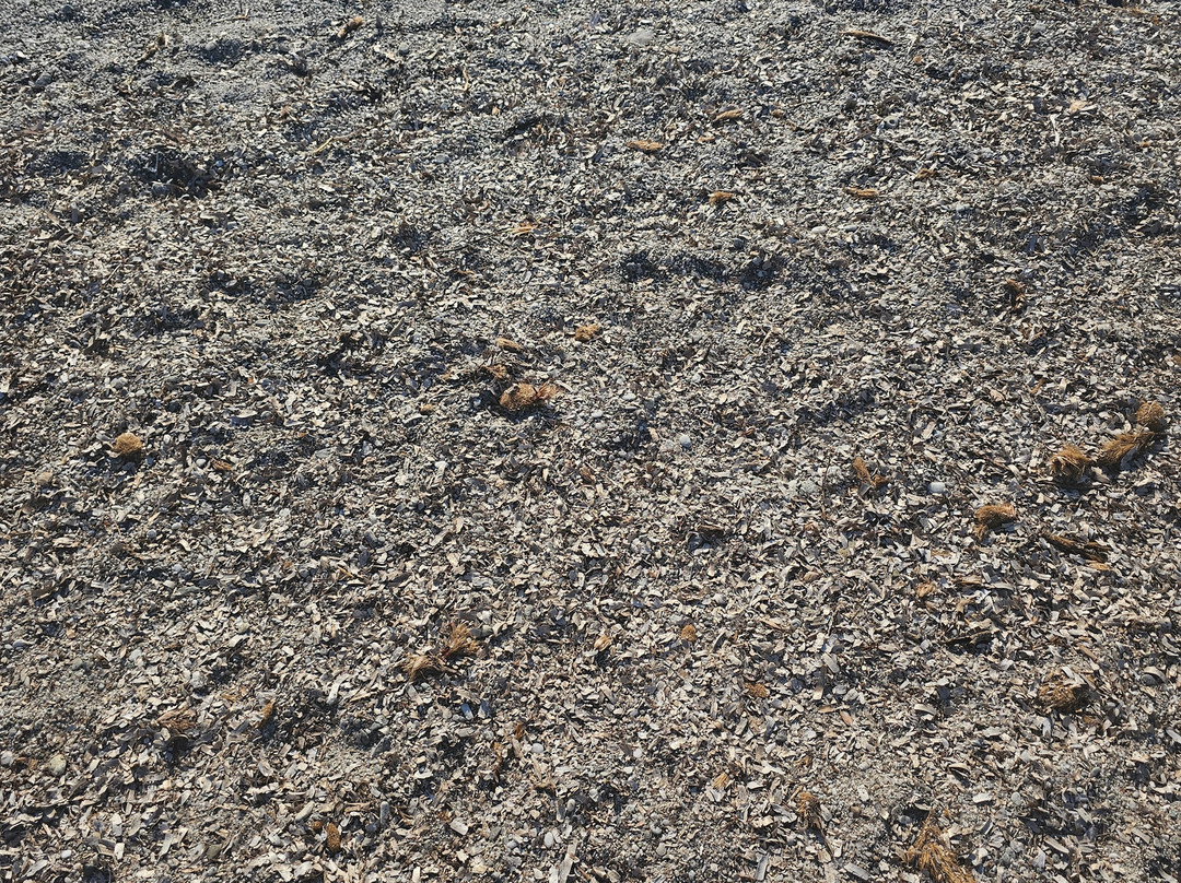 Tui Blue Budoni主图